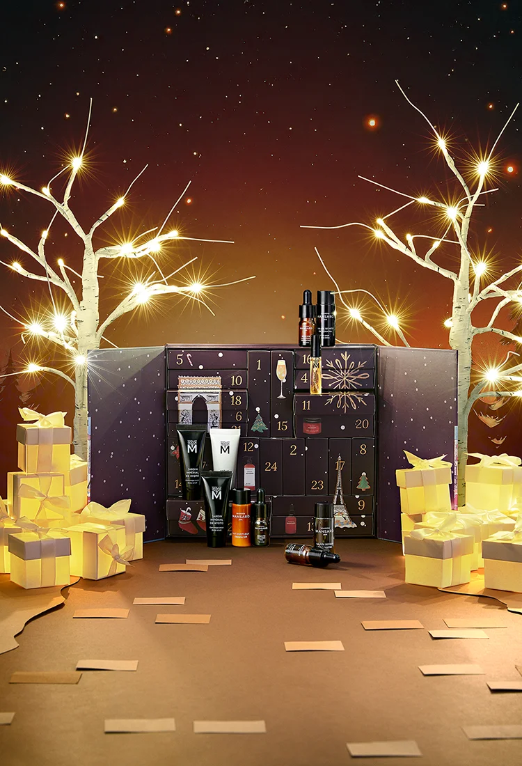 Mansard_Campagne_de_Noel-2